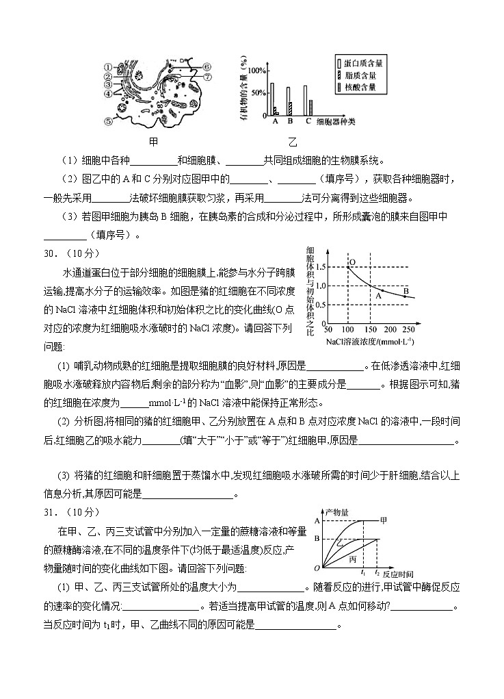 宁夏回族自治区银川一中2021届高三上学期第一次月考 理综生物(word版含答案) 试卷03