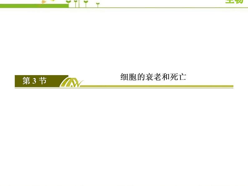 (新)人教版高中生物必修1教学课件:6-3细胞的衰老和死亡02