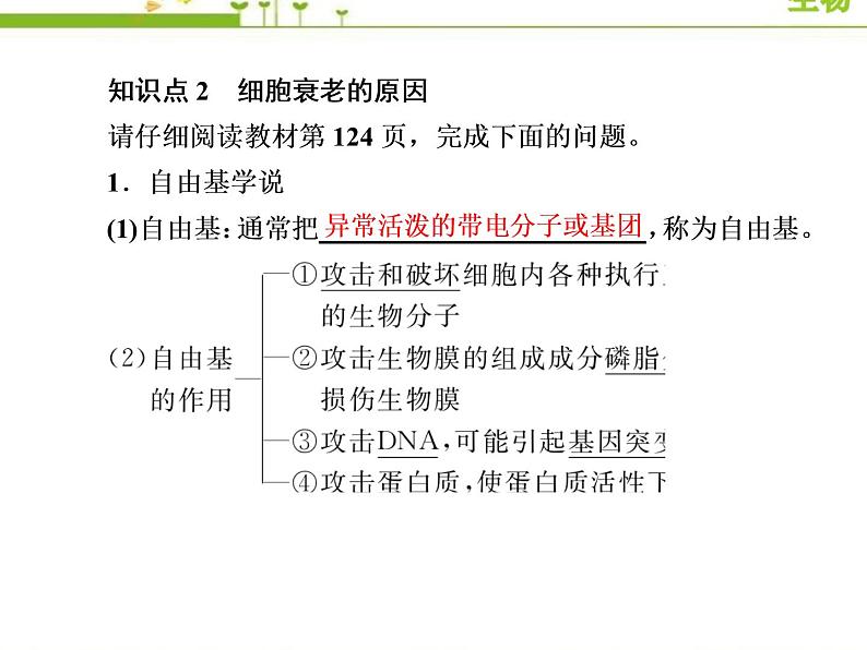 (新)人教版高中生物必修1教学课件:6-3细胞的衰老和死亡08