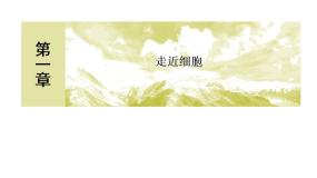 人教版 (新课标)必修1《分子与细胞》第1节 从生物圈到细胞优质课件ppt