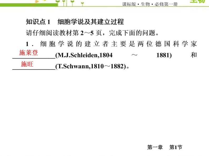 （新）人教版高中生物必修1教学课件：1-1细胞是生命活动的基本单位06