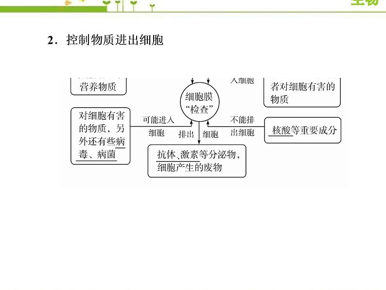 (新)人教版高中生物必修1教学课件:3-1细胞膜的结构和功能08