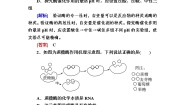 人教版 (新课标)必修1《分子与细胞》二 酶的特性精品课后作业题