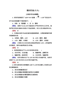 高中生物人教版 (新课标)必修1《分子与细胞》第2节 细胞的能量“通货”──ATP精品巩固练习