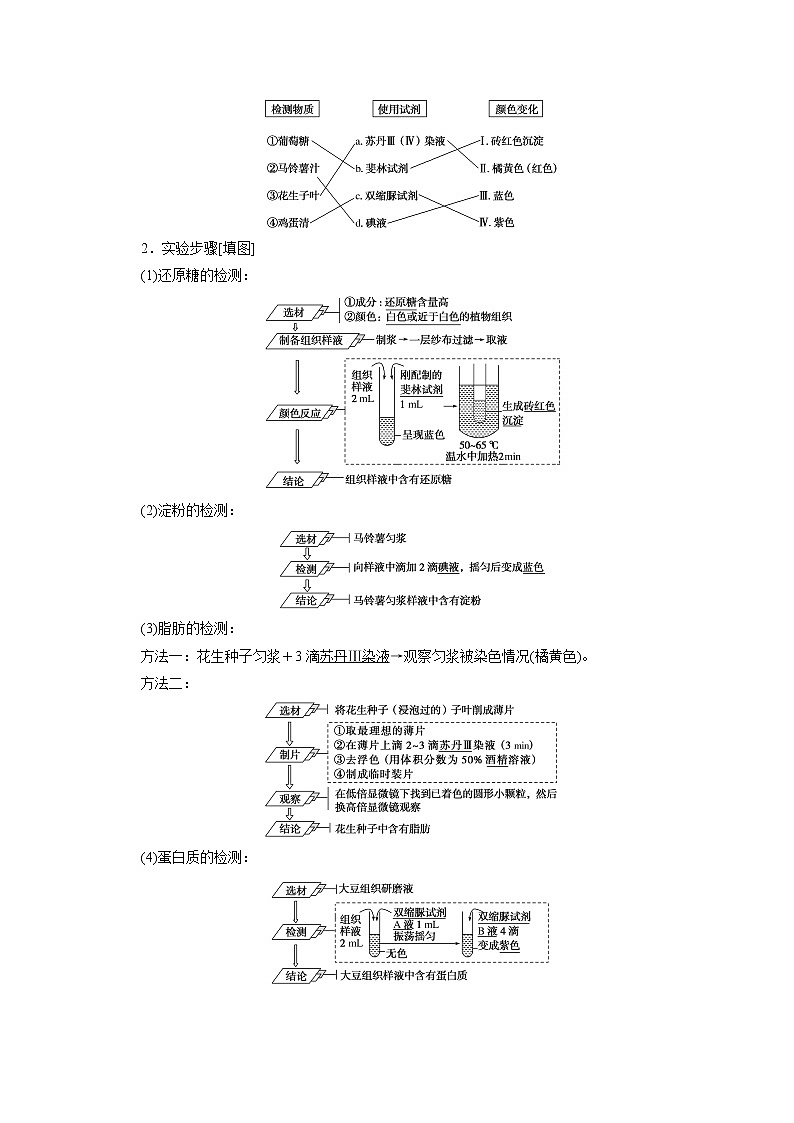 (新)人教版高中生物必修1学案:2.1 细胞中的元素和化合物(含解析)02