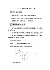 高中生物人教版 (新课标)必修1《分子与细胞》第五章 细胞的能量供应和利用第2节 细胞的能量“通货”──ATP精品教案设计