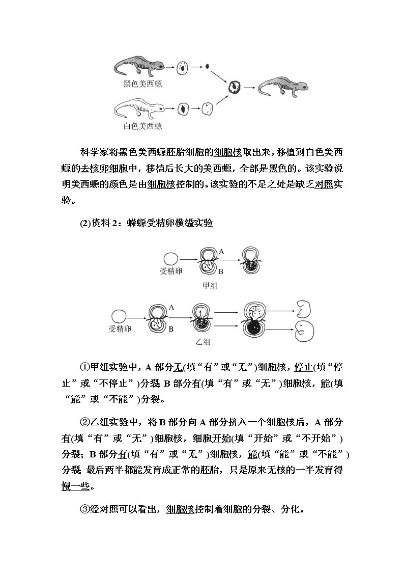 （新）人教版高中生物必修1教学讲义：3-3细胞核的结构和功能02