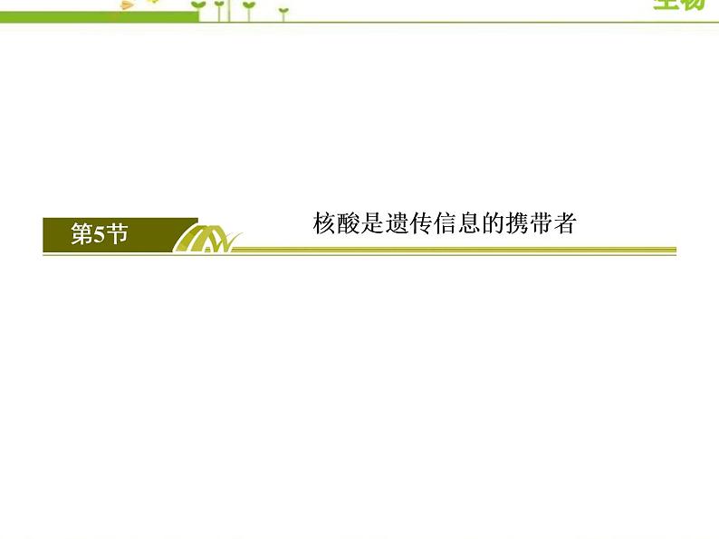(新)人教版高中生物必修1教学课件:2-5核酸是遗传信息的携带者02