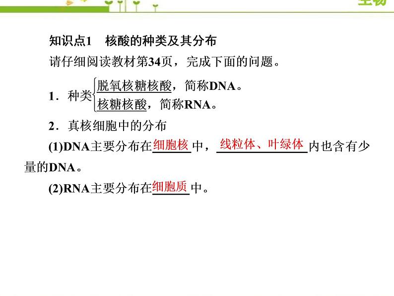 (新)人教版高中生物必修1教学课件:2-5核酸是遗传信息的携带者06
