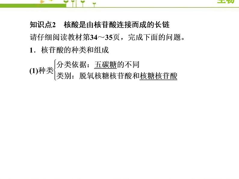 (新)人教版高中生物必修1教学课件:2-5核酸是遗传信息的携带者07