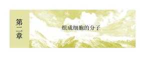 人教版 (新课标)第4节 细胞中的糖类和脂质评优课ppt课件