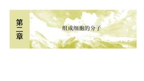 人教版 (新课标)必修1《分子与细胞》第4节 细胞中的糖类和脂质公开课ppt课件