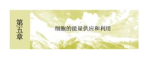 高中生物人教版 (新课标)必修1《分子与细胞》二 酶的特性优秀课件ppt