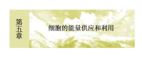 高中生物人教版 (新课标)必修1《分子与细胞》第五章 细胞的能量供应和利用综合与测试获奖课件ppt
