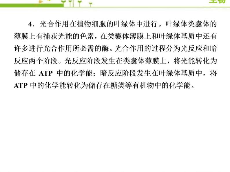 （新）人教版高中生物必修1教学课件：章末整合提升5　细胞的能量供应和利用05