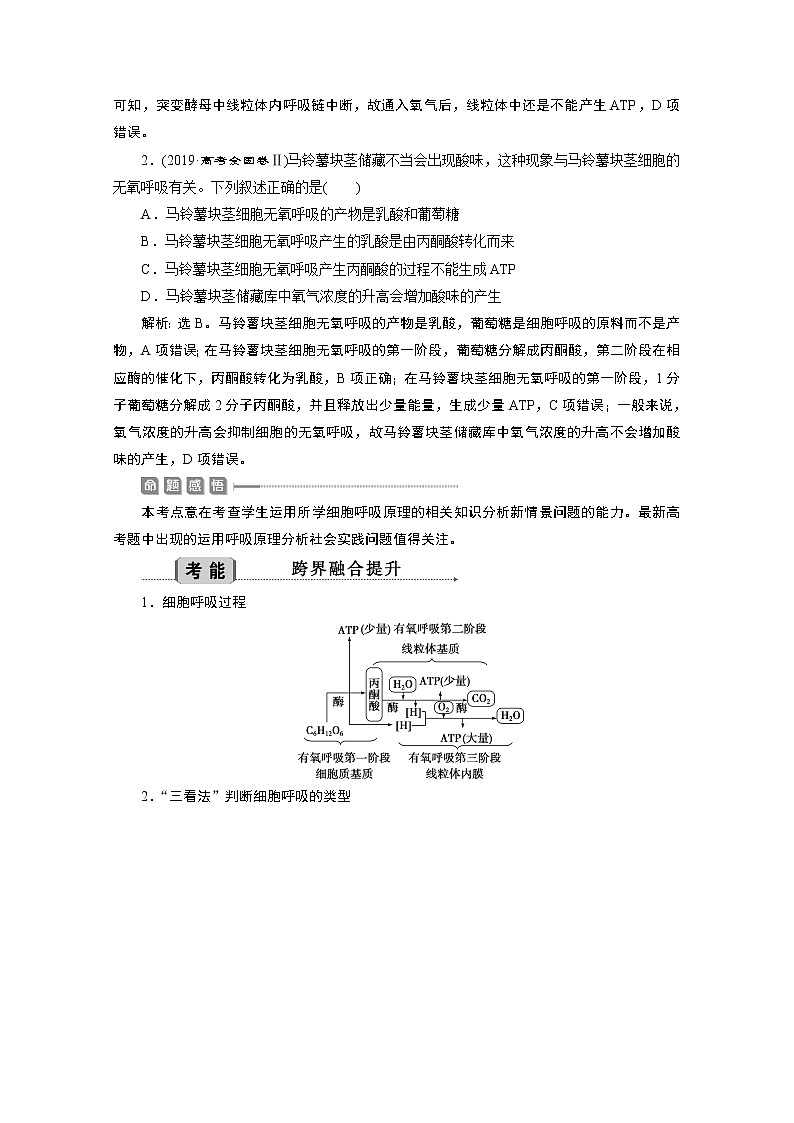 2020江苏高考生物二轮讲义:2专题五 细胞呼吸与光合作用第3页