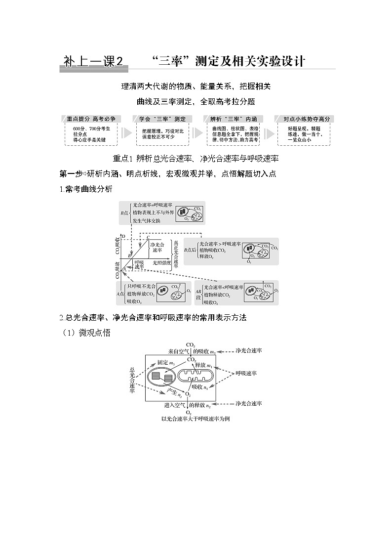 2019创新设计高考生物一轮复习教师用书:补上一课2第1页