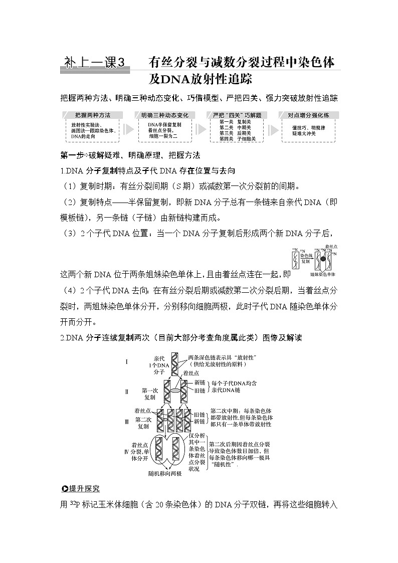 2019创新设计高考生物一轮复习教师用书:补上一课3第1页