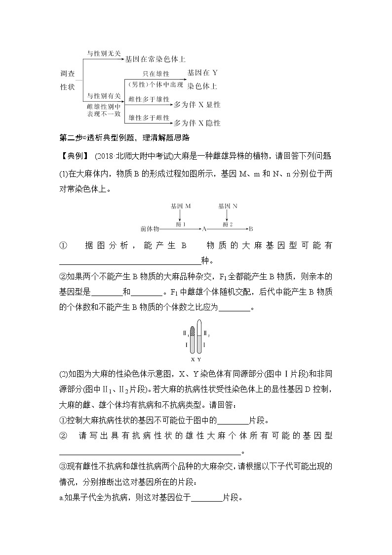 2019创新设计高考生物一轮复习教师用书:补上一课4第3页