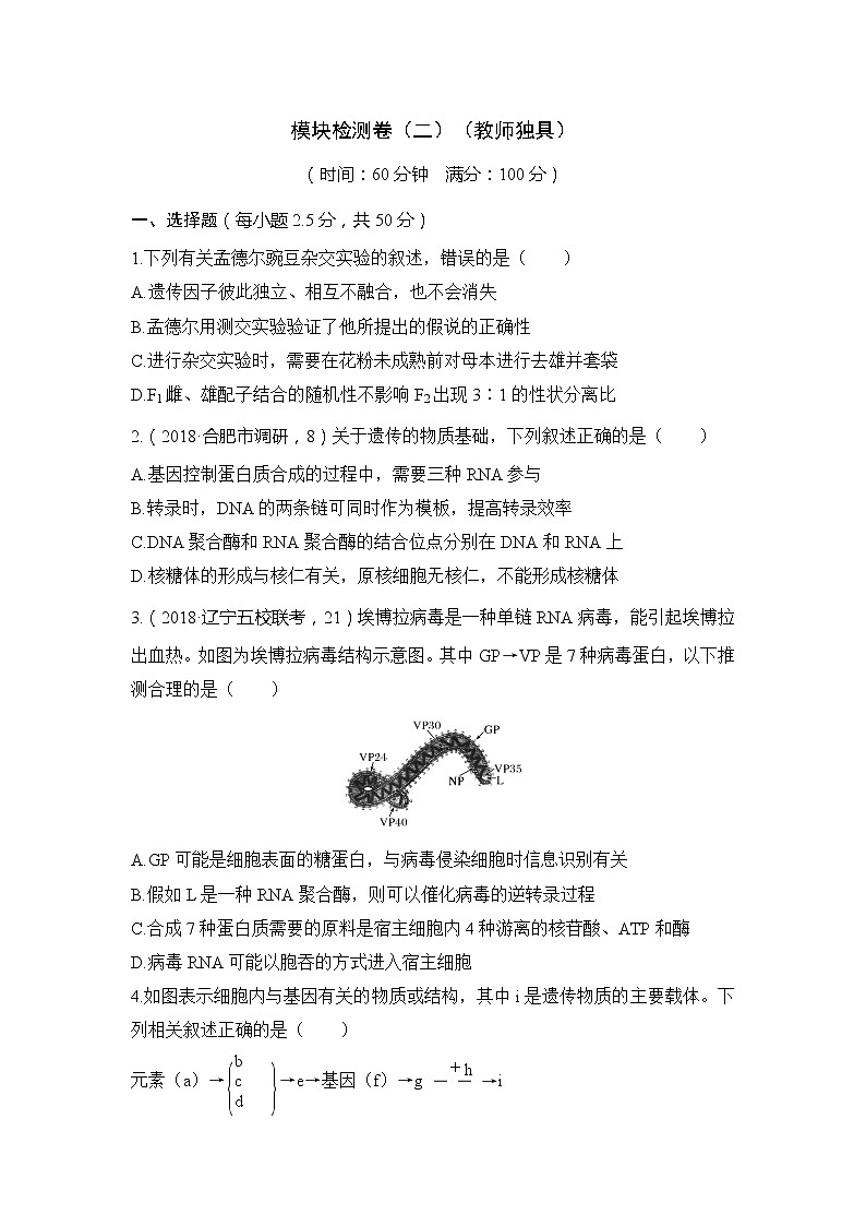 2019创新设计高考生物一轮复习教师用书:模块检测卷(二)第1页