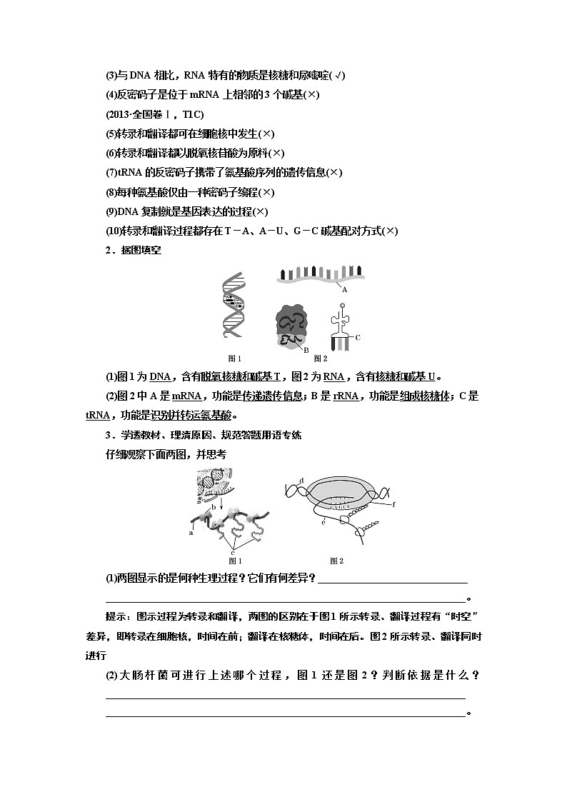 2020版高考一轮复习生物新课改省份专用讲义:第六单元 第三讲 基因的表达03
