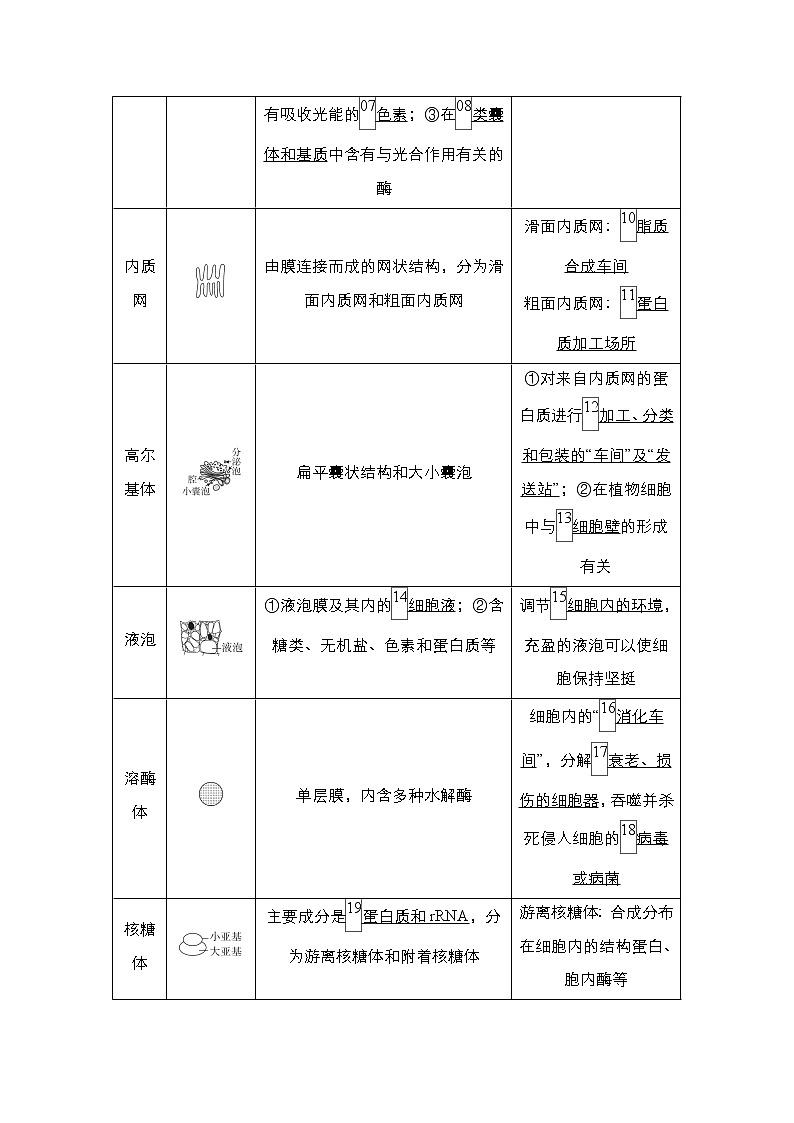 2021届高考生物人教版一轮创新教学案:第2单元 第6讲 细胞器与生物膜系统02