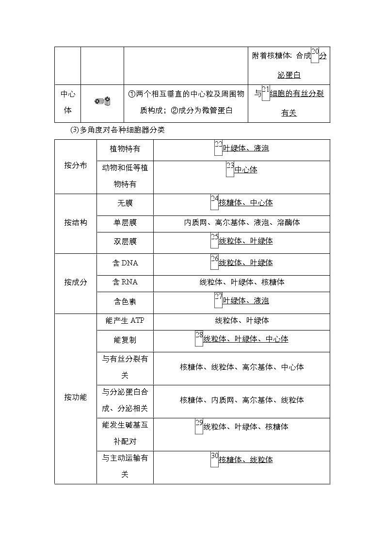 2021届高考生物人教版一轮创新教学案:第2单元 第6讲 细胞器与生物膜系统03