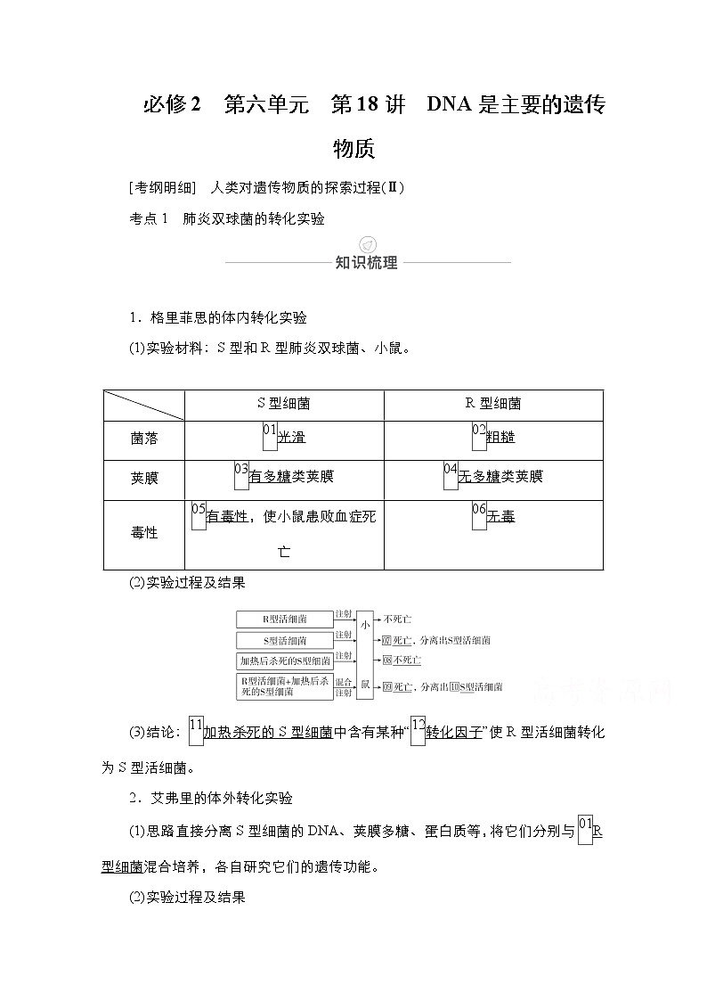 2021届高考生物人教版一轮创新教学案:第6单元第18讲DNA是主要的遗传物质第1页