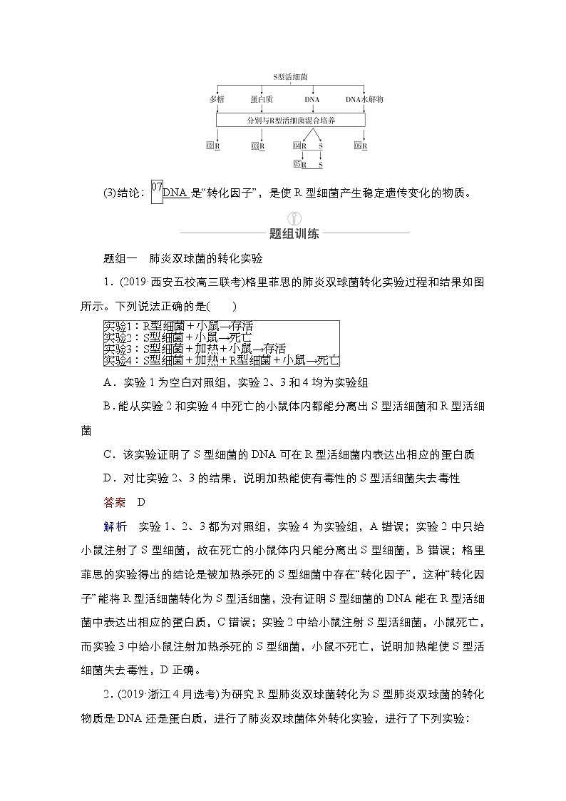 2021届高考生物人教版一轮创新教学案:第6单元第18讲DNA是主要的遗传物质第2页