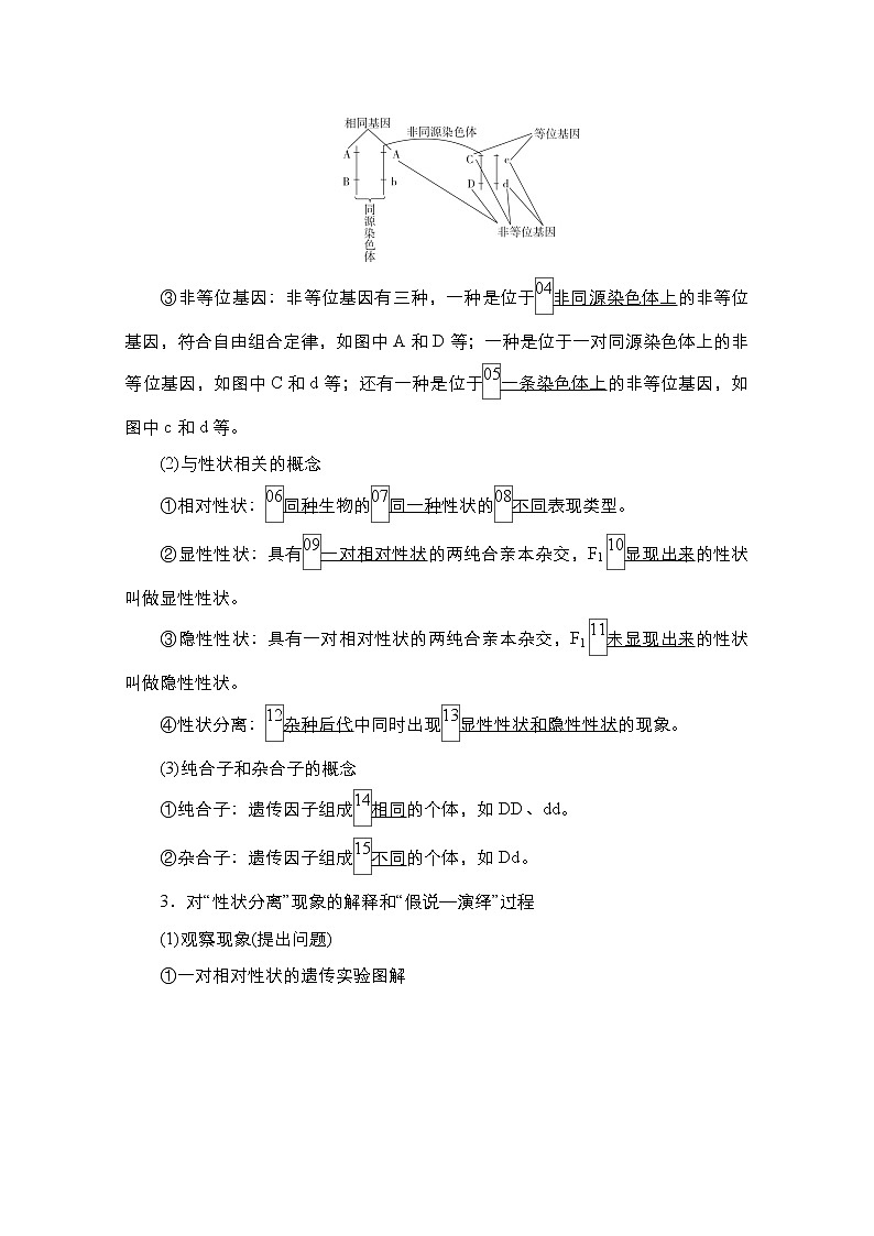 2021届高考生物人教版一轮创新教学案:第5单元第14讲基因的分离定律第2页