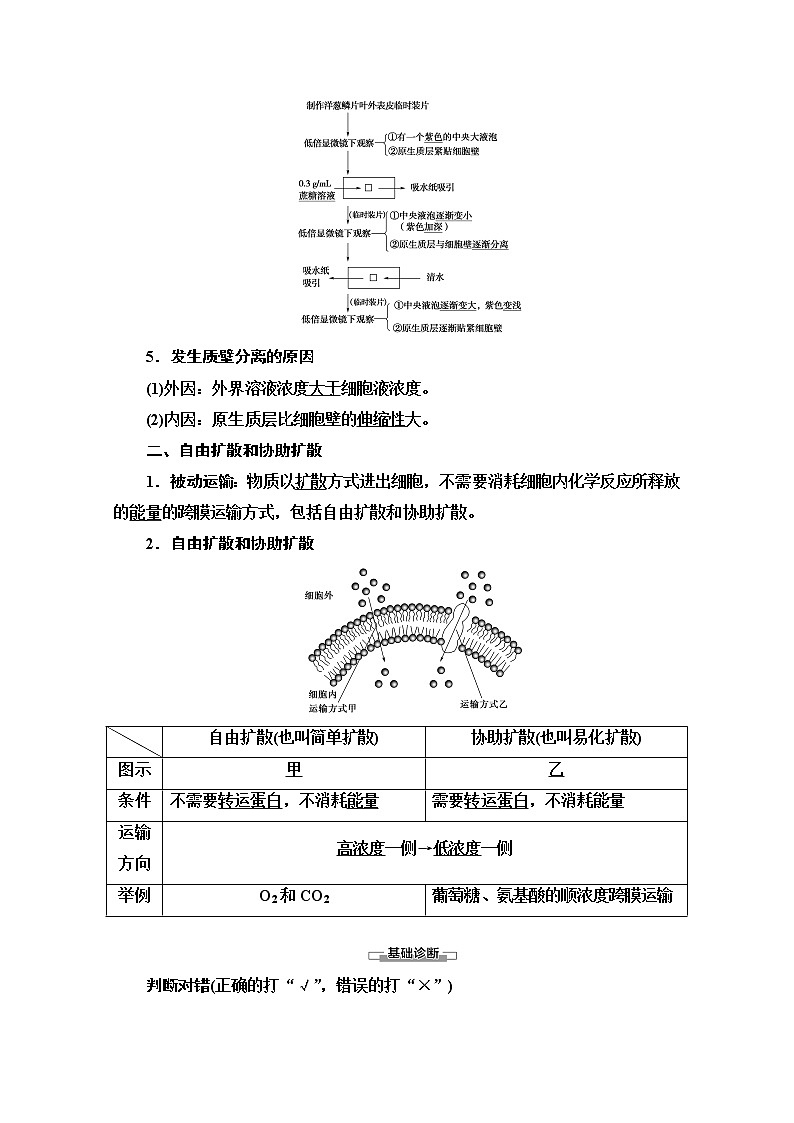 (新)人教版必修1学案:第4章 第1节 第2课时 探究植物细胞的吸水和失水与被动运输(含解析)02