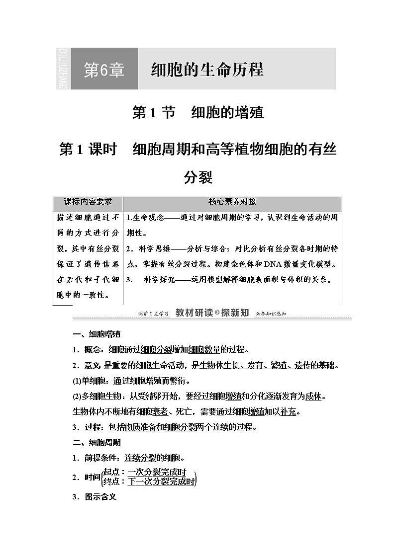(新)人教版必修1学案:第6章 第1节 第1课时 细胞周期和高等植物细胞的有丝分裂(含解析)01