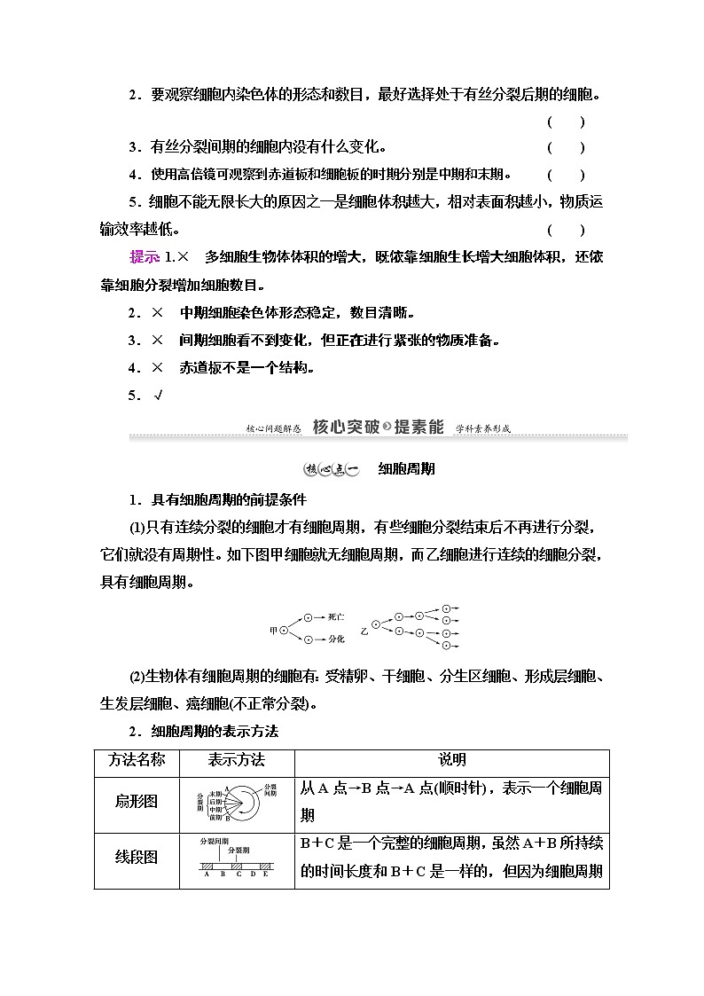 (新)人教版必修1学案:第6章 第1节 第1课时 细胞周期和高等植物细胞的有丝分裂(含解析)03
