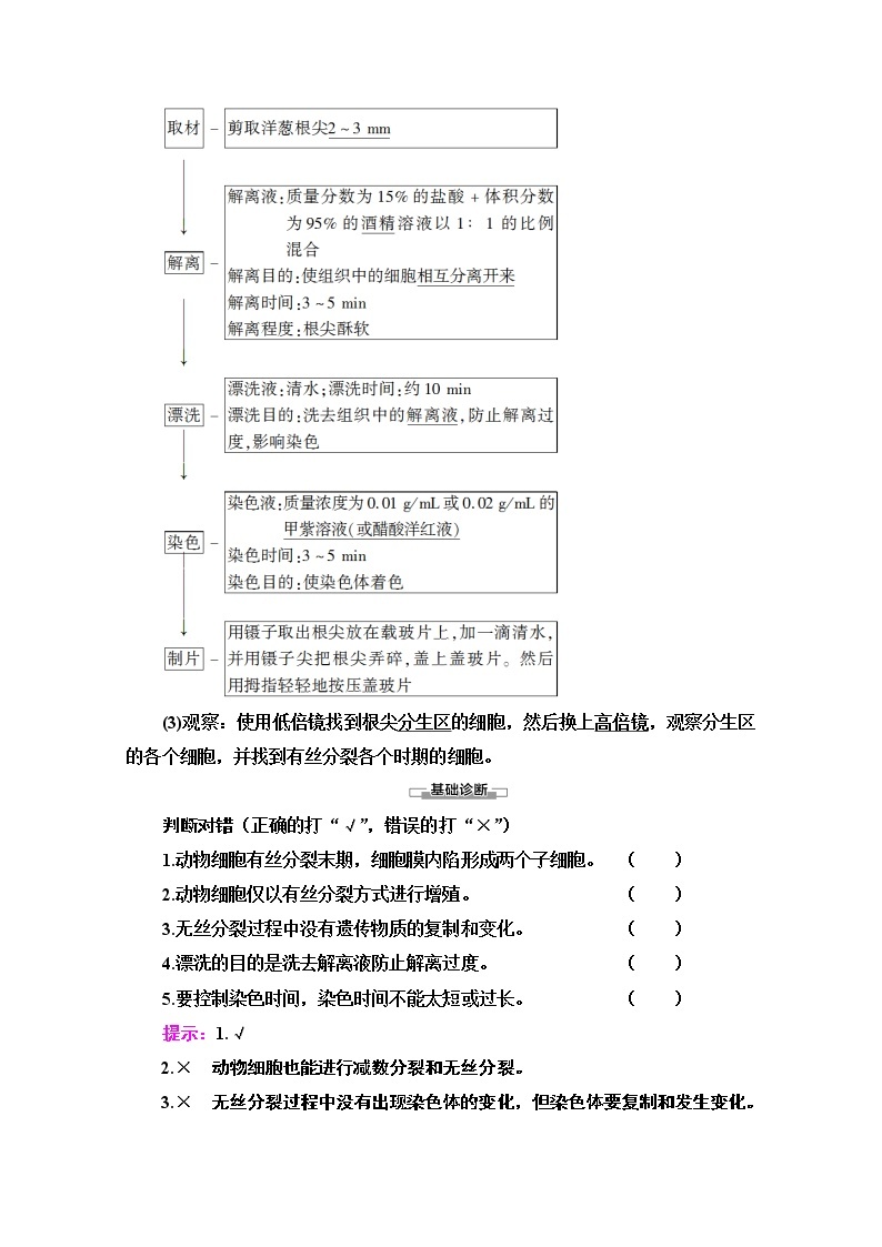 （新）人教版必修1学案：第6章 第1节 第2课时　动物细胞的有丝分裂、观察根尖分生区组织细胞的有丝分裂（含解析）03