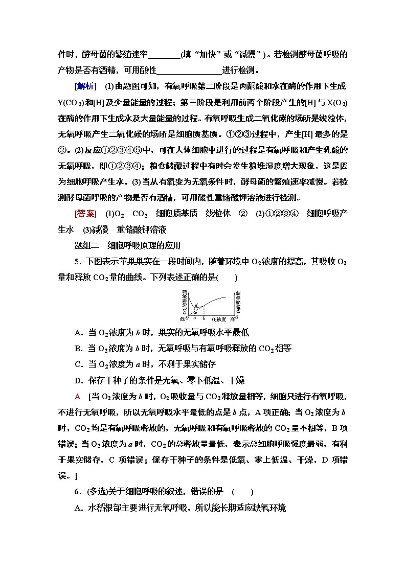 (新)人教版必修1课时分层作业:5.3.2 无氧呼吸、细胞呼吸原理的应用(含解析) 练习03