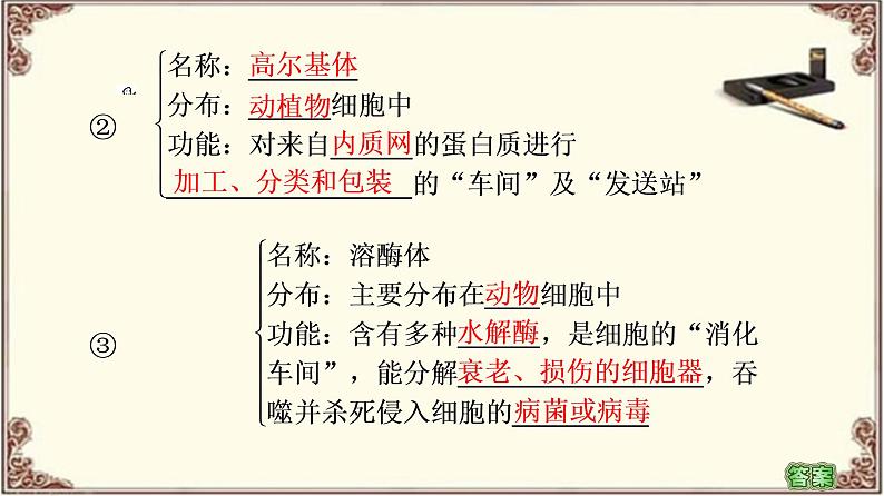 (新)人教版必修1:第3章 第2节 第1课时 细胞器之间的分工 PPT课件07