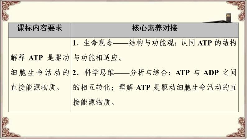 （新）人教版必修1：第5章 第2节　细胞的能量“货币”ATP PPT课件02