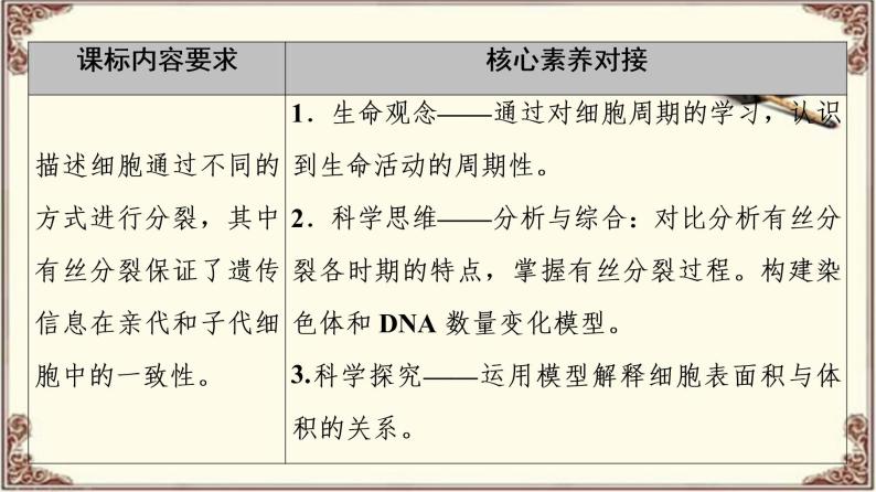 （新）人教版必修1：第6章 第1节 第1课时　细胞周期和高等植物细胞的有丝分裂 PPT课件02