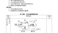 生物必修1《分子与细胞》二 光合作用的原理和应用[55]2课时教案设计