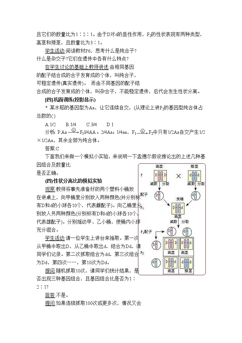 人教高中生物必修2教案:第1章 第一节 孟德尔豌豆杂交实验(一)第2课时02