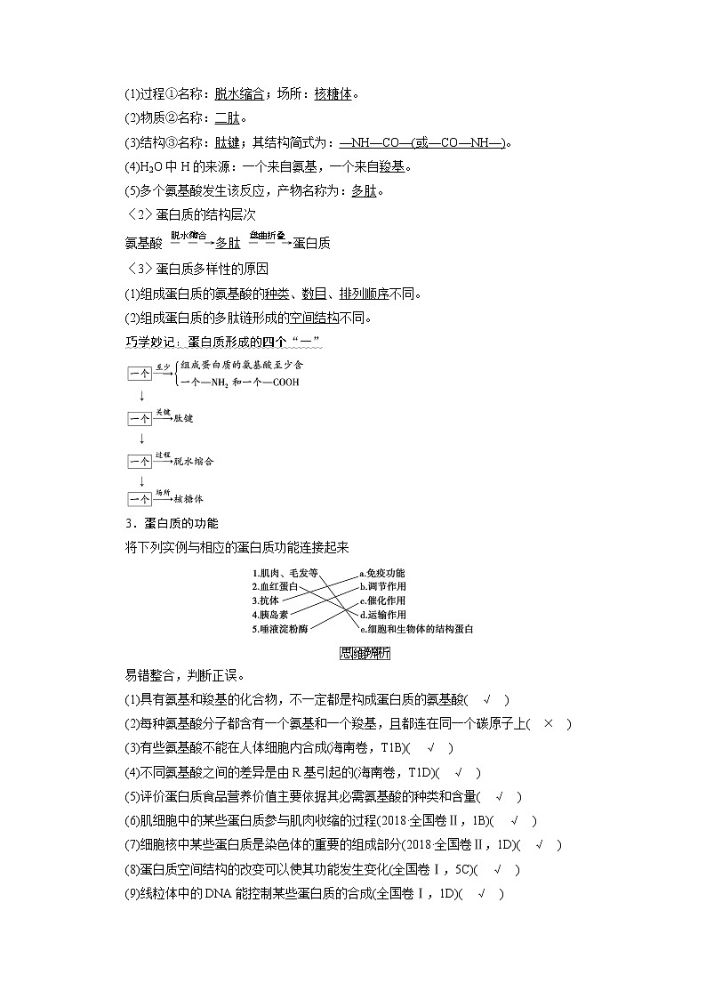 2021新高考生物人教版一轮学案:必修部分模块1第1单元第2讲 生命活动的主要承担者——蛋白质02