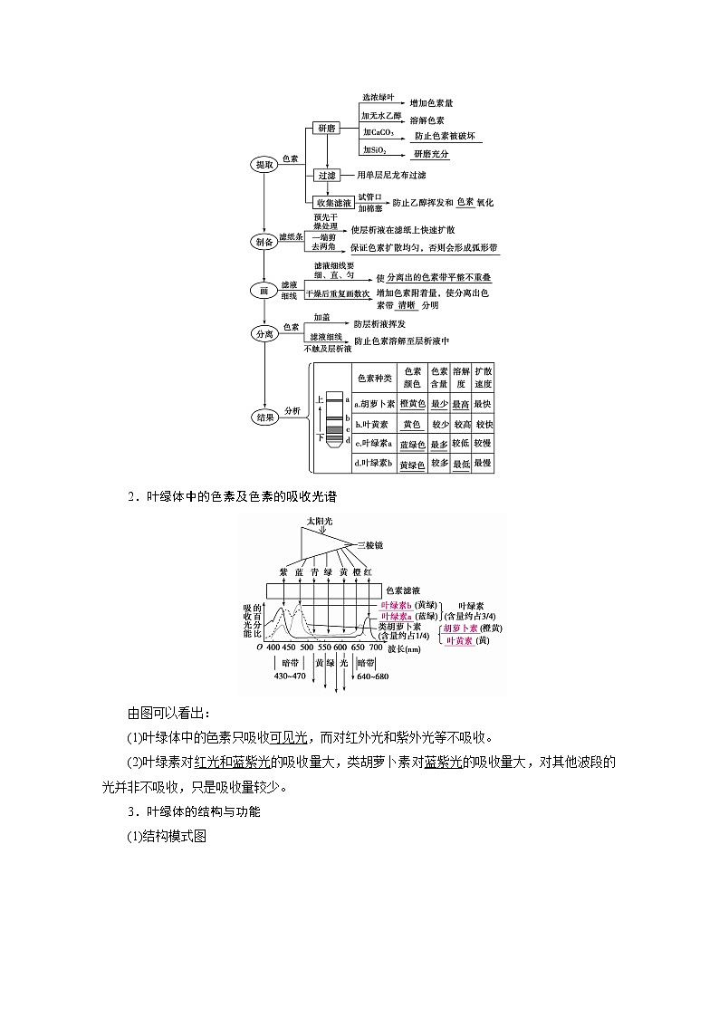 2021新高考生物人教版一轮学案:必修部分模块1第3单元第3讲 能量之源——光与光合作用02