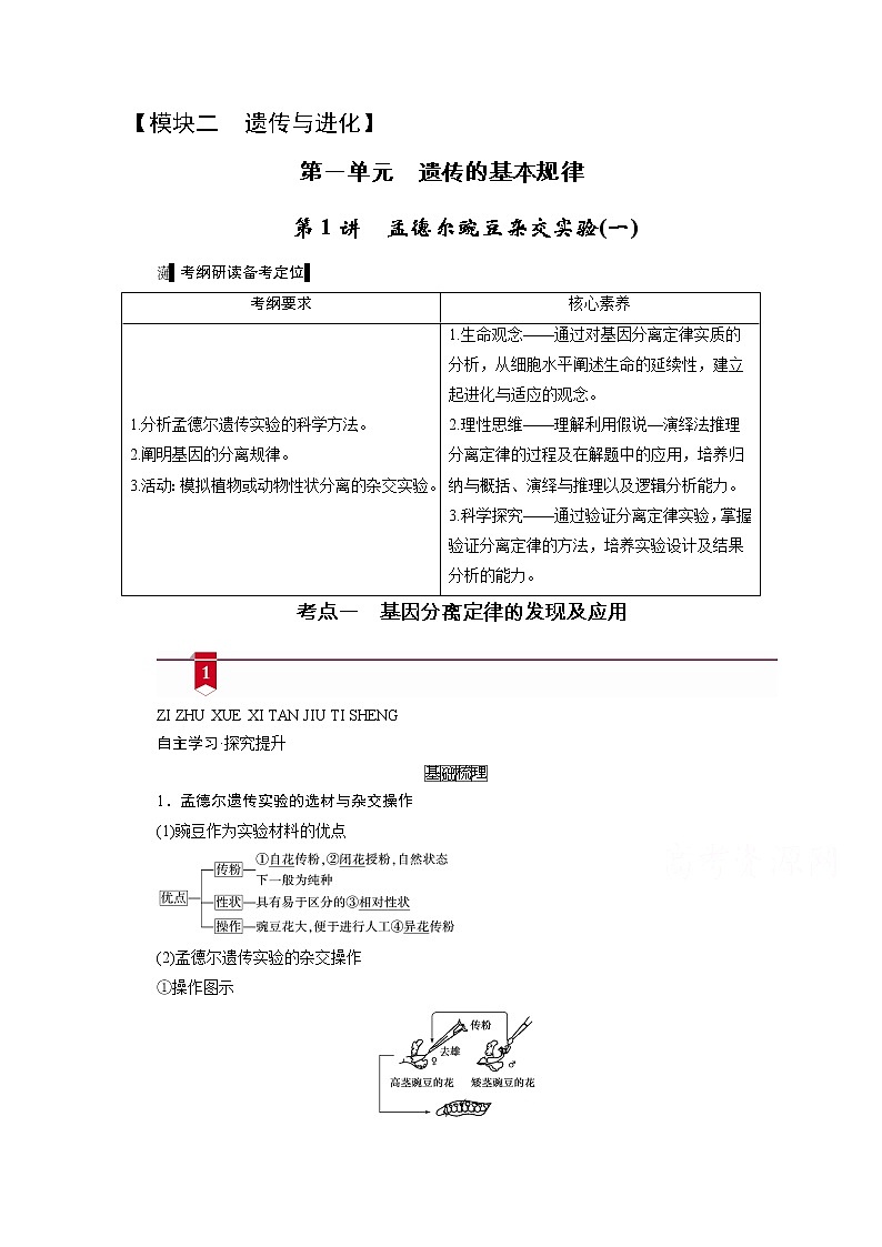 2021新高考生物人教版一轮学案:必修部分模块2第1单元第1讲 孟德尔豌豆杂交实验(一)第1页