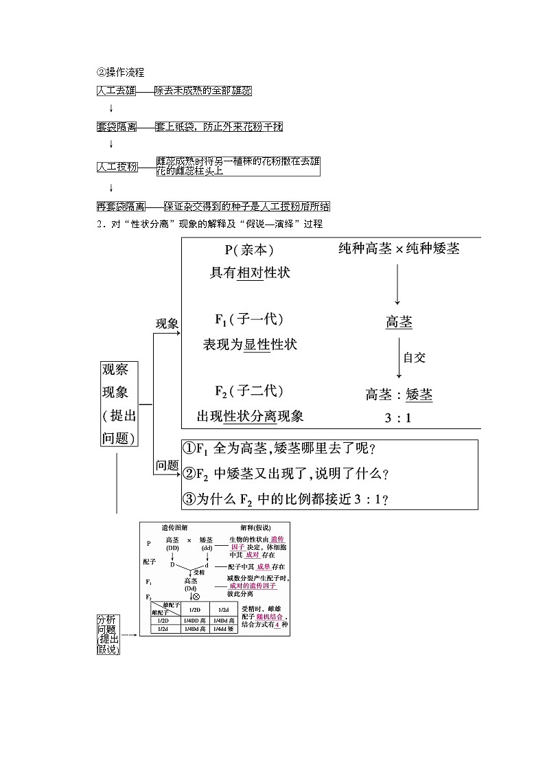 2021新高考生物人教版一轮学案:必修部分模块2第1单元第1讲 孟德尔豌豆杂交实验(一)第2页