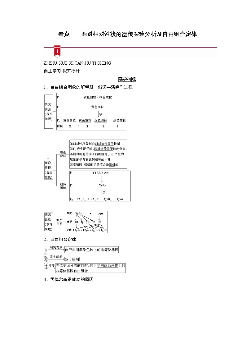 2021新高考生物人教版一轮学案:必修部分模块2第1单元第2讲 孟德尔豌豆杂交实验(二)第2页
