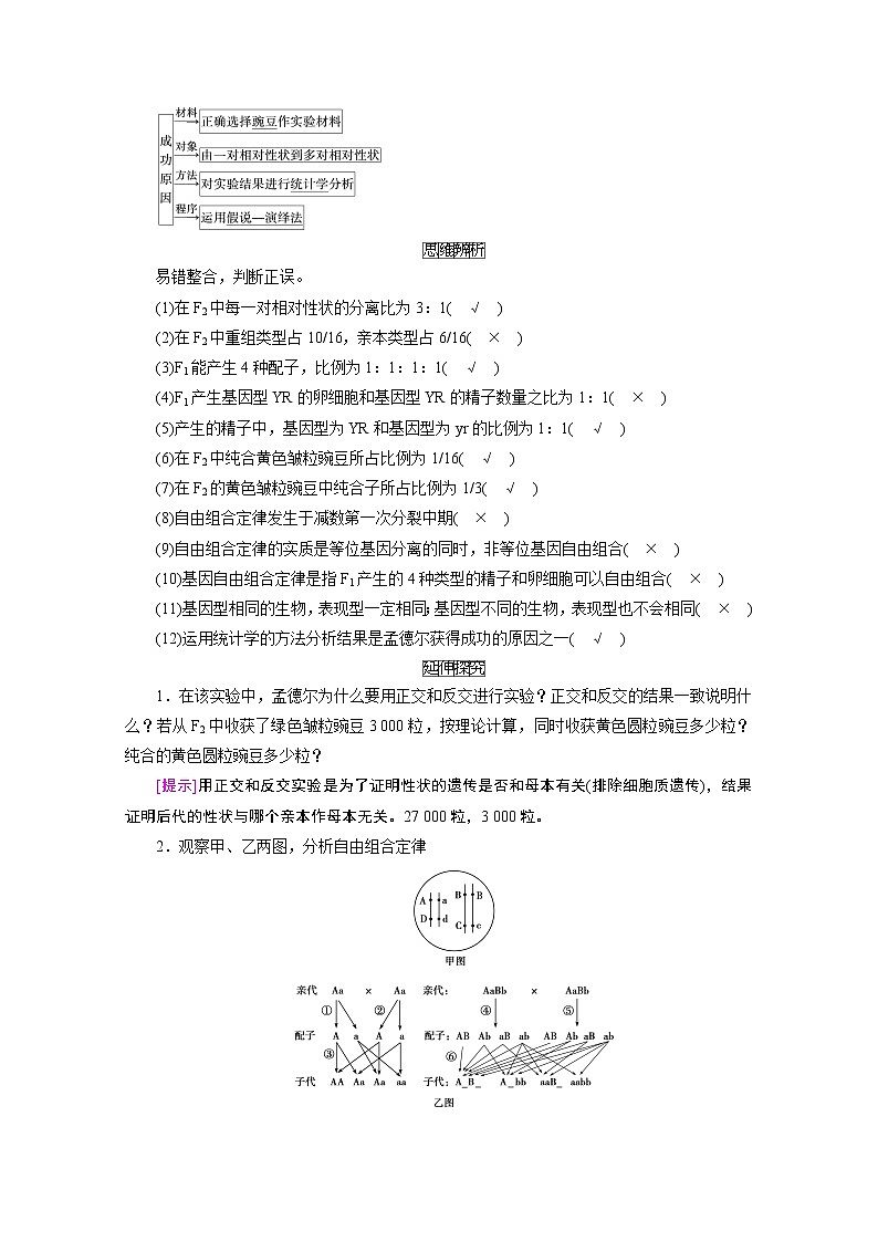 2021新高考生物人教版一轮学案:必修部分模块2第1单元第2讲 孟德尔豌豆杂交实验(二)第3页