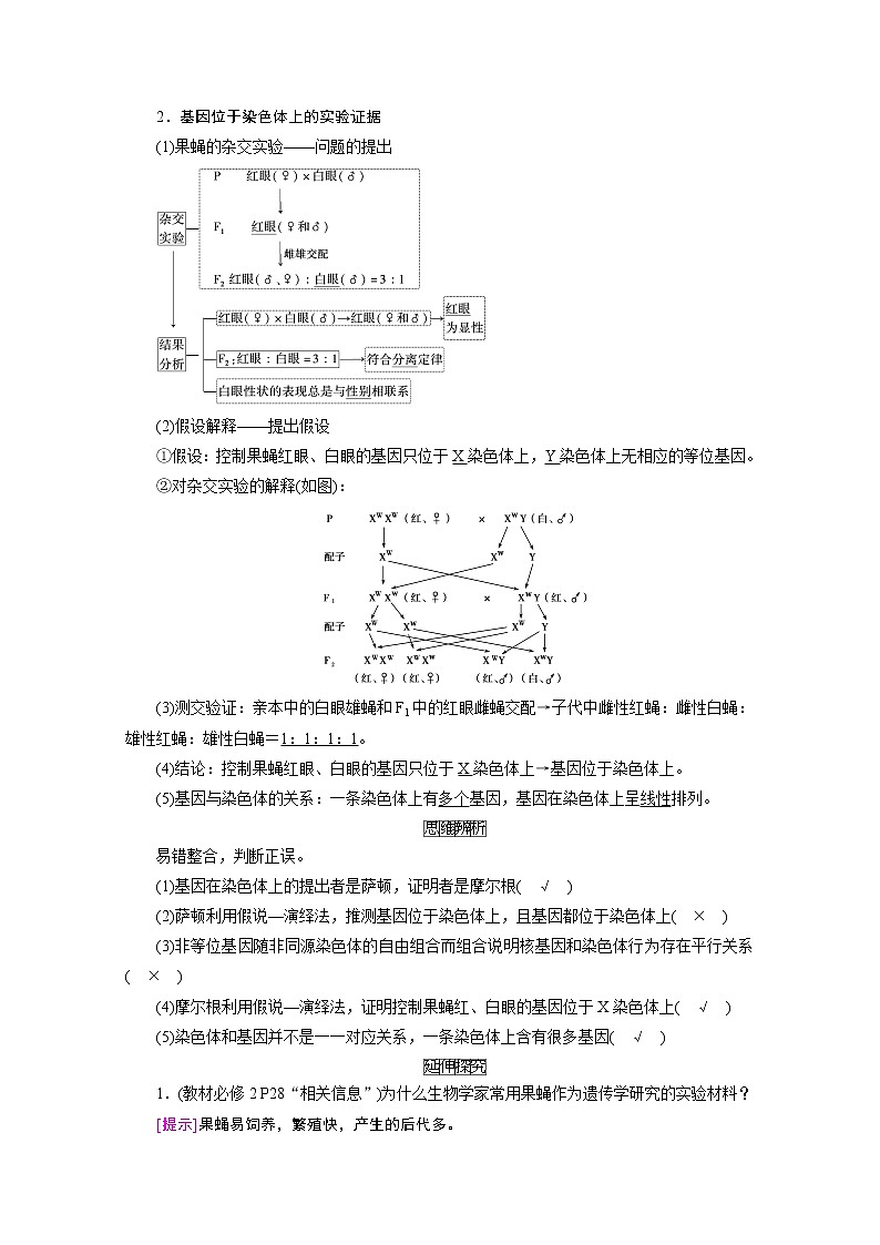 2021新高考生物人教版一轮学案:必修部分模块2第1单元第3讲 基因在染色体上、伴性遗传和人类遗传病第2页