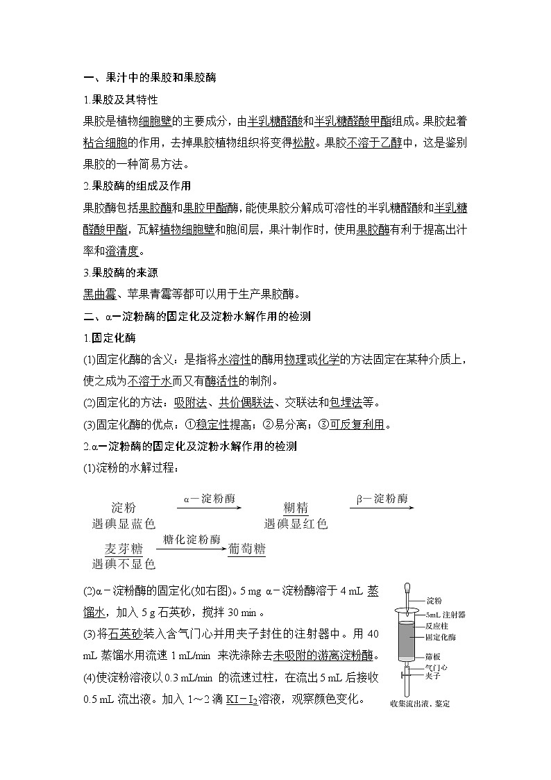 2020版生物浙江高考选考一轮复习讲义:第30讲酶的利用第3页