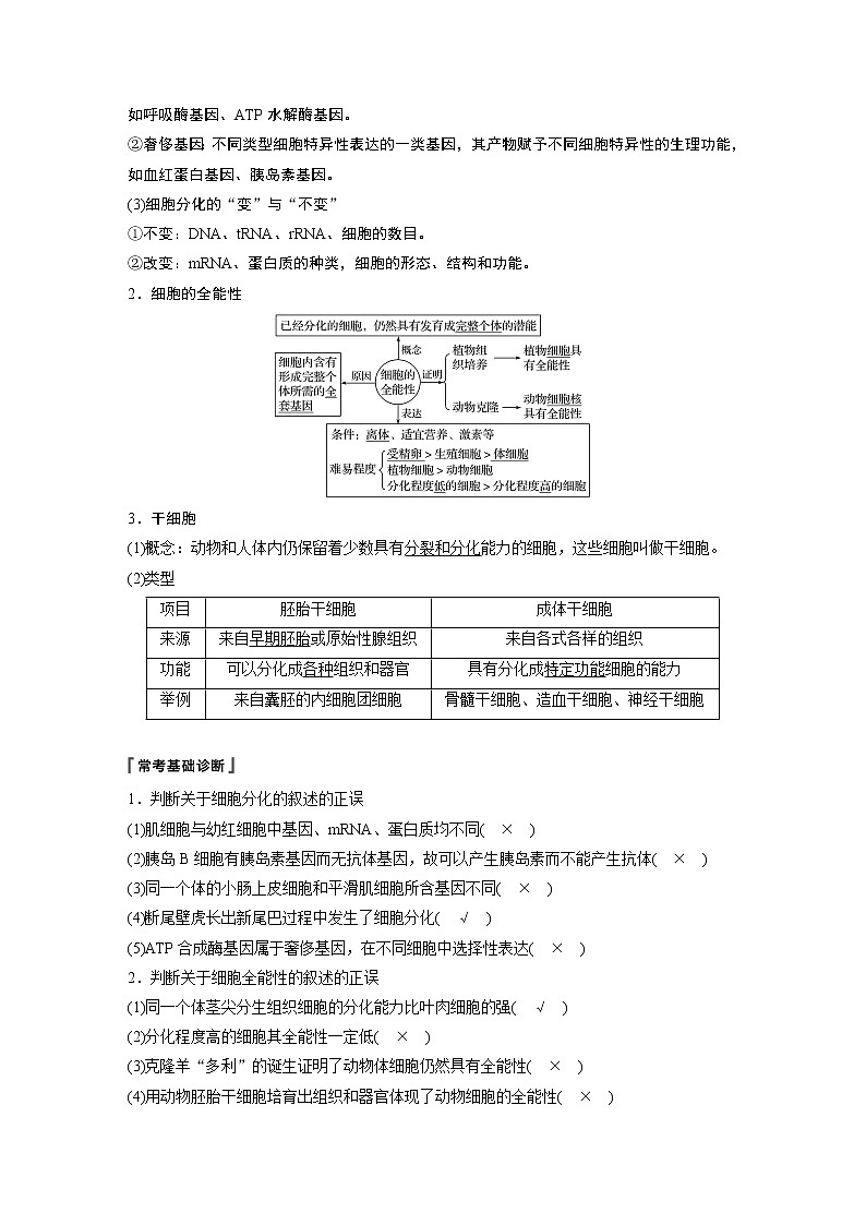 2020版生物新导学大一轮人教通用版讲义:第四单元细胞的生命历程第13讲第2页