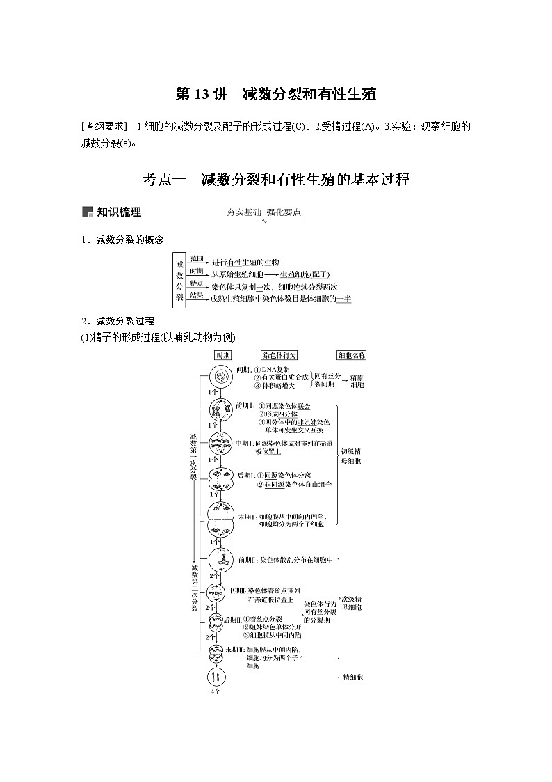 2020版生物新导学大一轮苏教讲义:第四单元细胞的生命历程和有性生殖第13讲第1页